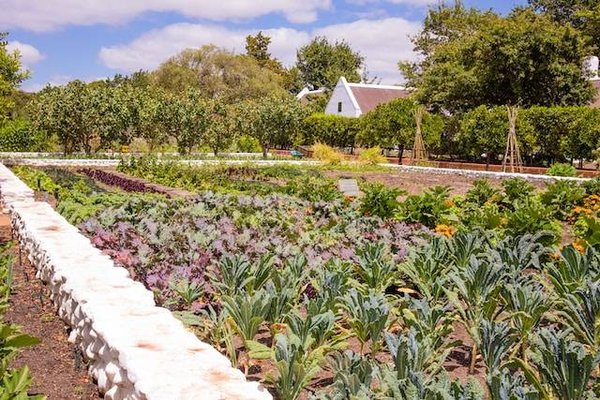 Comment embellir votre potager avec des fleurs, des aromates ou des objets décoratifs ?