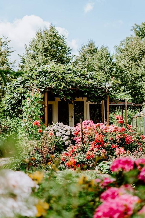 Comment choisir les fleurs qui embelliront votre jardin ?