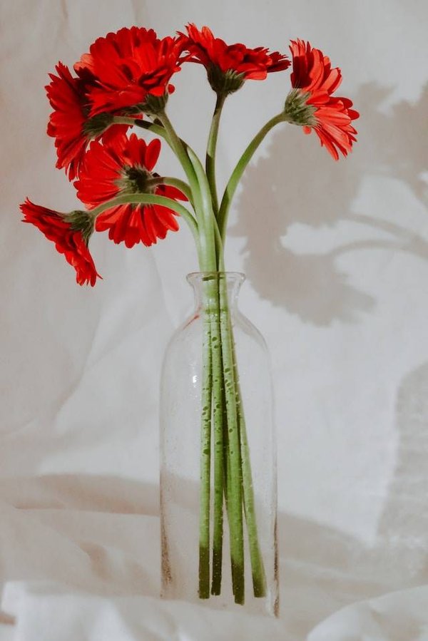 Comment composer un bouquet ou une jardinière avec vos fleurs ?