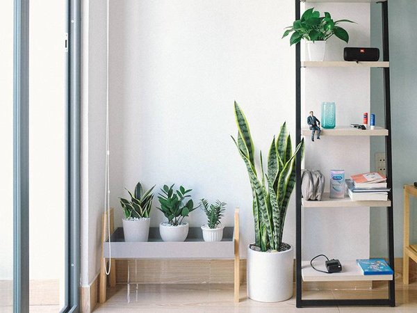 Jardinet, balcon : nos idées pour aménager un petit espace